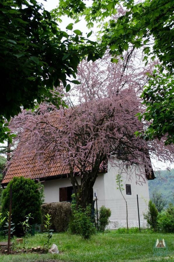 Lodge Zbilje Visoko, Bosnian Pyramids Luaran gambar