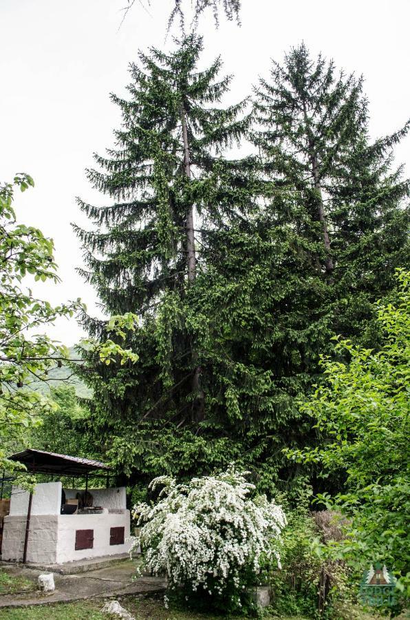 Lodge Zbilje Visoko, Bosnian Pyramids Luaran gambar